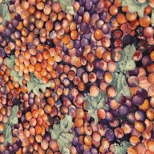 Grapes, grapes, and more grapes fabric - 3 yds